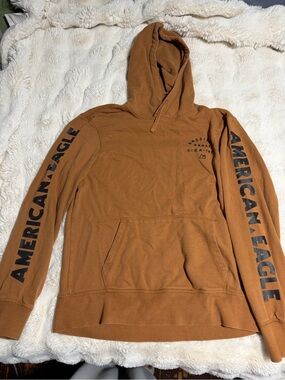 American Eagle Outfitters Rust Brown Hooded Pullover with Sleeve Logo